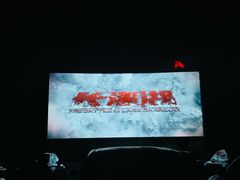 -枫花园汽车电影院(朝阳公园店)