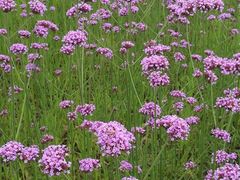 -圆融购物中心(南天成路店)