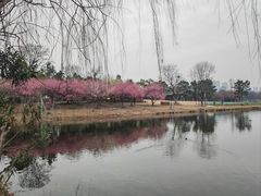 -武汉园博园(武汉自然博物馆)