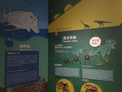 -正佳自然科学博物馆