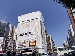 -秋叶原电器街