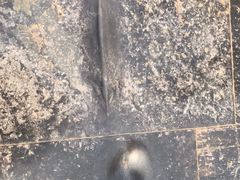 -赵州桥景区