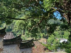 -杨家堂村