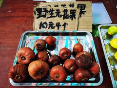 -通灵大峡谷