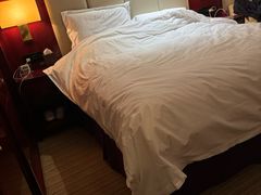 -东北大厦酒店(沈阳北站青年大街店)