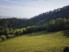 -敬亭山风景名胜区