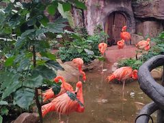 -长鹿旅游休博园