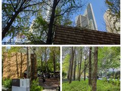 -陆家嘴中心绿地