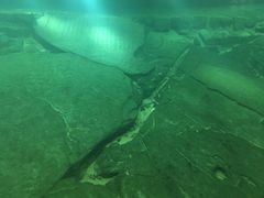 -白鹤梁水下博物馆