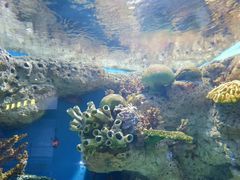 -福州罗源湾海洋世界旅游区