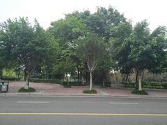 -西南政法大学(渝北校区)