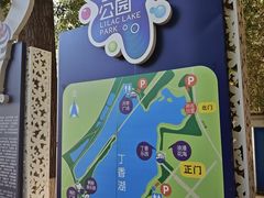 -丁香湖公园