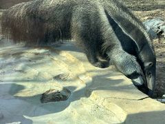 -济南野生动物世界
