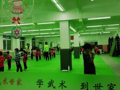 -武术世家少儿培训中心(首都体育学院店)