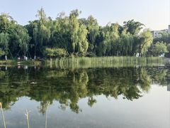 -北湖公园
