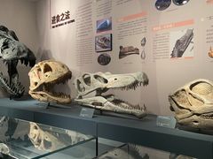 -自贡恐龙博物馆