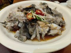 -百鱼庄(仙葫店)