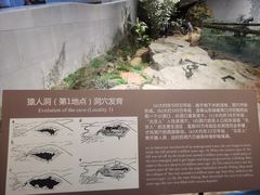 -北京周口店北京人遗址博物馆
