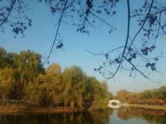 -大兴滨河森林公园