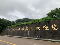 -礼耕堂·百年茶人餐厅(梅家坞店)