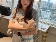 -Heymao猫咖.咖啡厅(东门店)