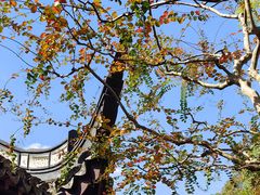 -上海醉白池公园