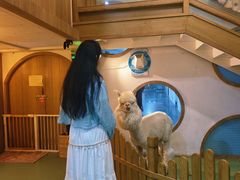 -藦茜花园宠物主题亲子互动体验馆(国顺东路店)