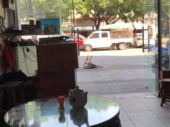 -俊丽双皮奶甜品店