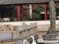 -祝家花園(伯渎港店)