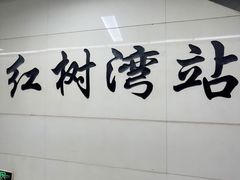 -红树湾(地铁站)