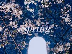 -陆家嘴中心绿地