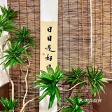 🌞十一Citywalk🥥本广州人认证的甜椰肠粉！！