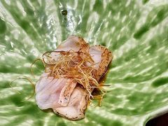 炙烤喉黑鱼片-加奈日本料理