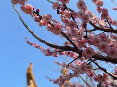 -雨花胜境