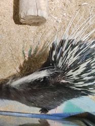 -酷嗒动物文化乐园(cutezoo西溪乐天城店)