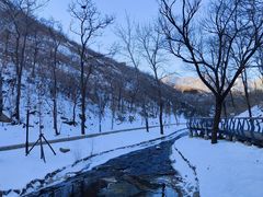 -白水寺森林公园