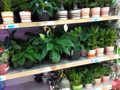 -大润发(国兴店)