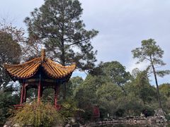 -富乐山