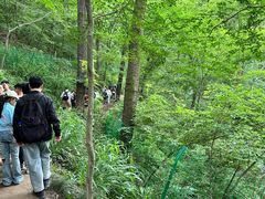 -波尔登森林公园
