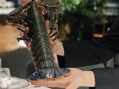 -Oyster Talks 四度蚝法餐厅