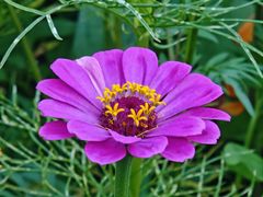 -贵阳市花溪国家城市湿地公园