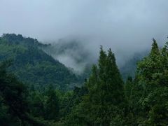 -大围山国家森林公园