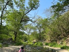 -白水寺森林公园