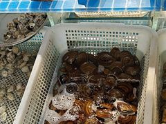 -即墨印象