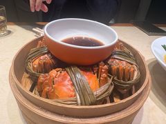 -杨氏青龙虾·羊蝎子(珠江路店)