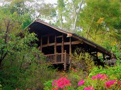 -深圳国际园林花卉博览园