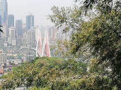 -南山植物园