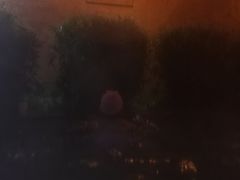-崇阳三特浪口温泉
