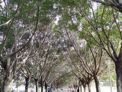 -风云岭森林公园