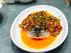 有机珊瑚鲜鱼头-小厨娘淮扬菜(天印大道店)